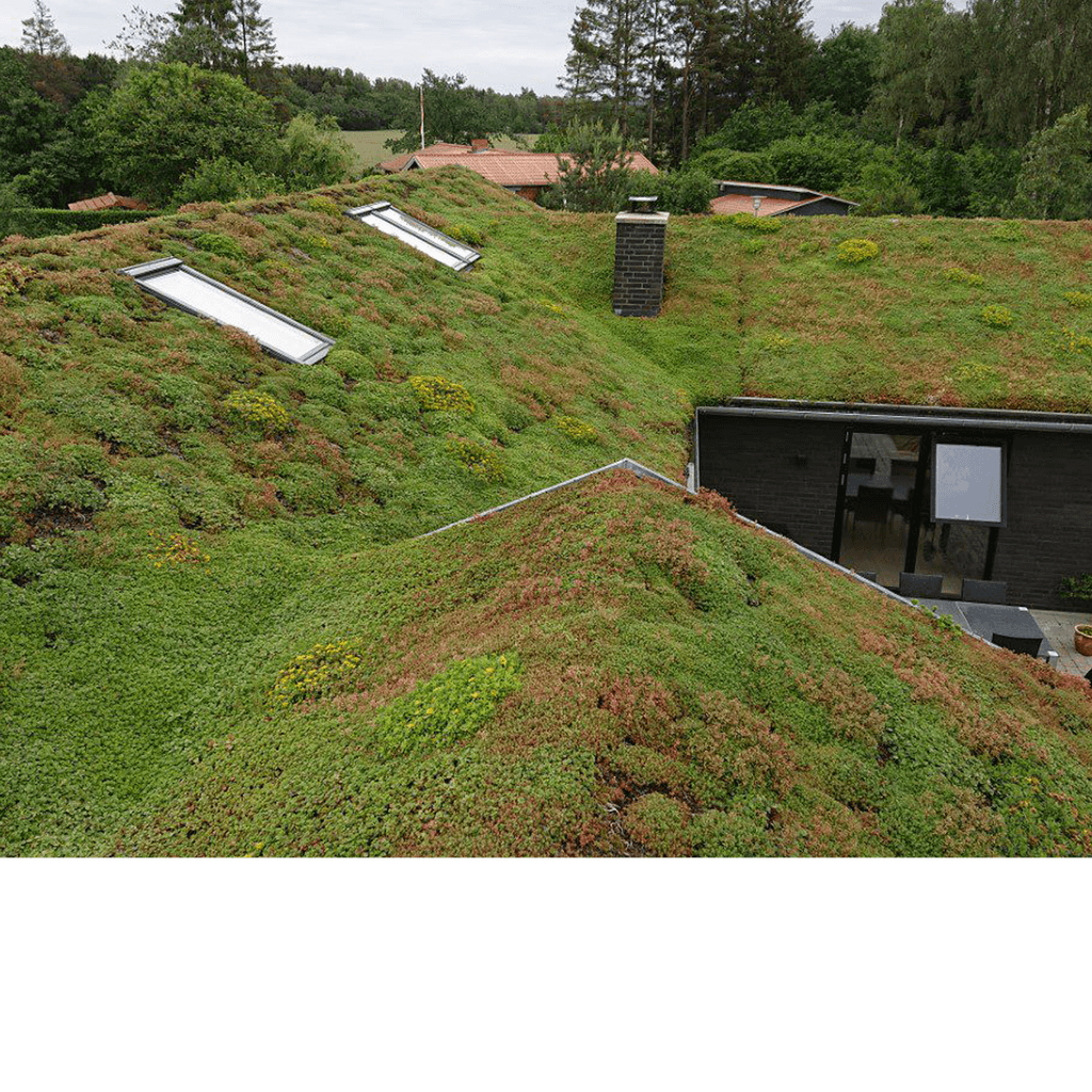 Grønne tage